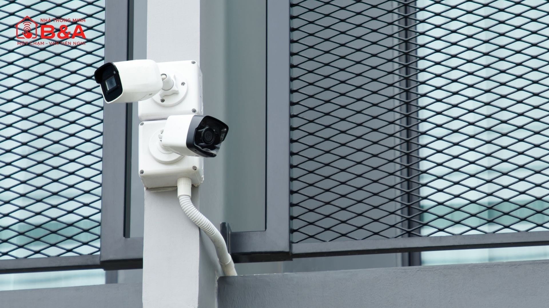 Camera tại sân và khu vực phía sau nhà